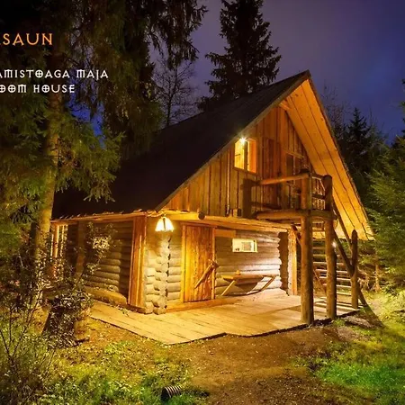 Viikingite Kuela 3* Saula