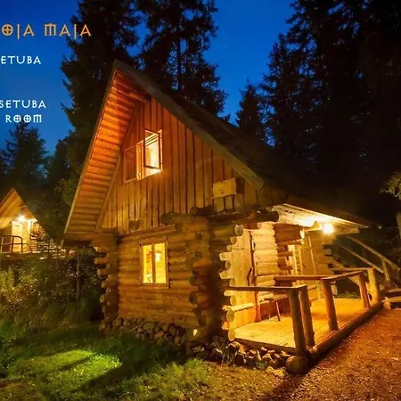 Viikingite Kuela Saula