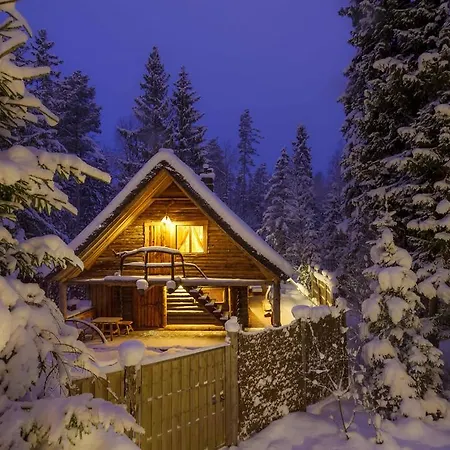 Viikingite Kuela Saula