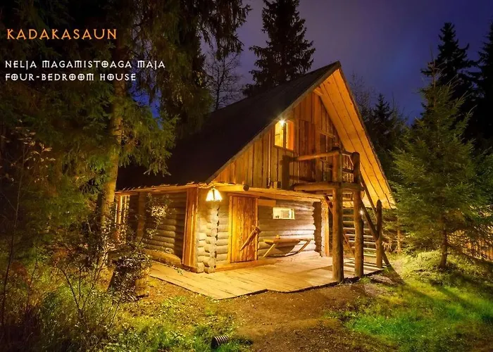 Viikingite Kuela 3* Saula