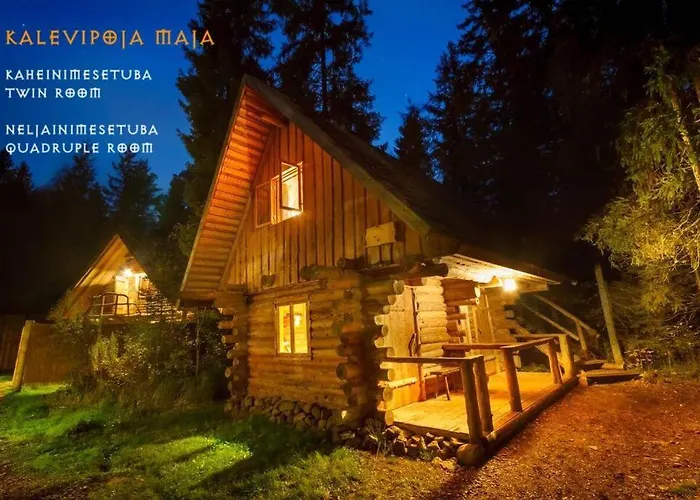 Viikingite Kuela Saula