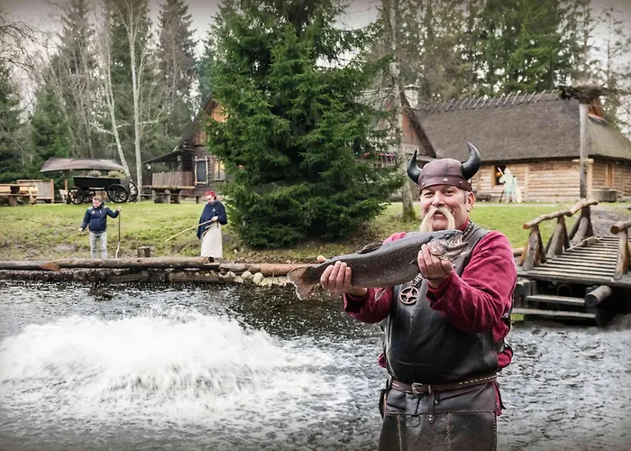 Viikingite Kuela Saula